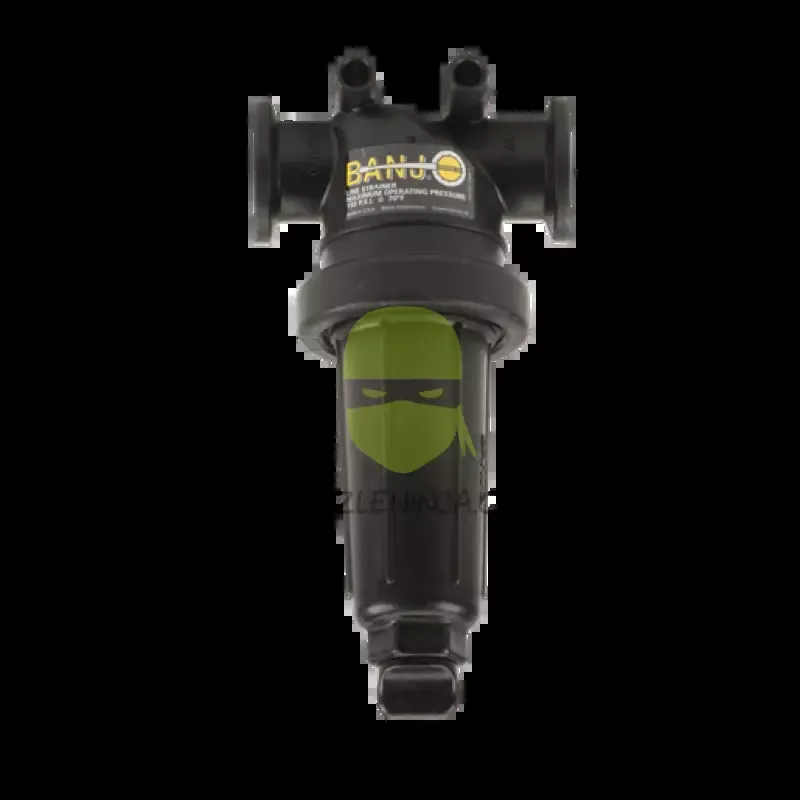 1" Manifold T Strainer With 100 Mesh Screen