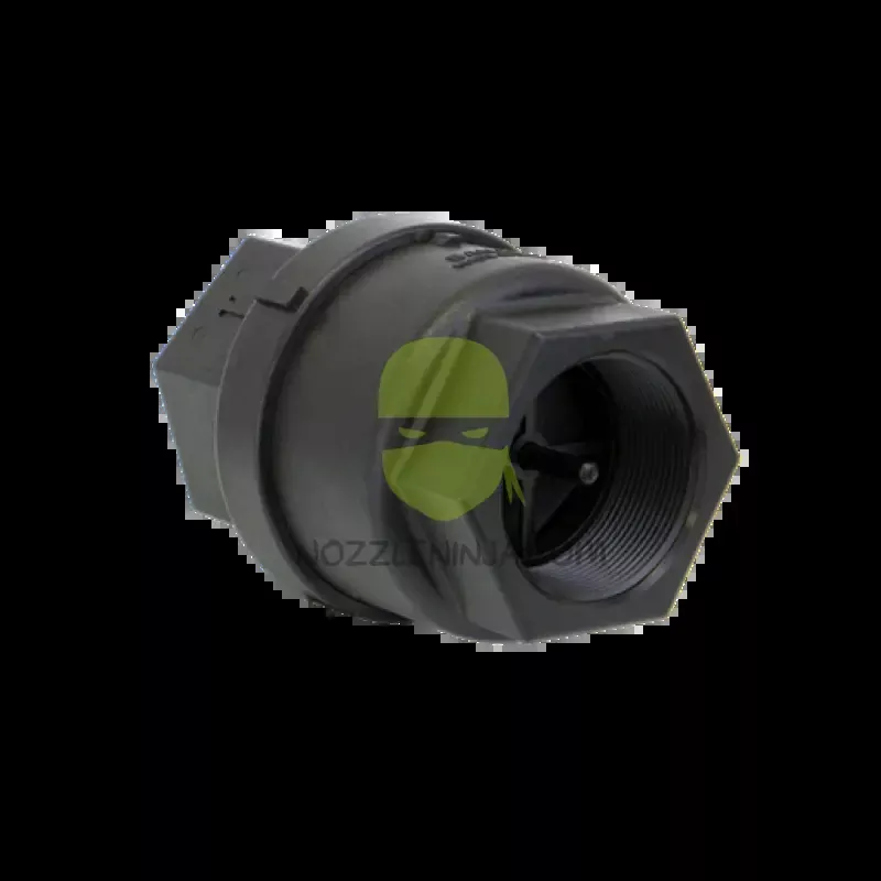 2" Female Pipe Thread Check Valve1/2 PSI