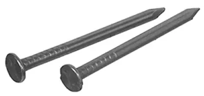 20d Galvanized Box Nails, 4-in., 1-lb.