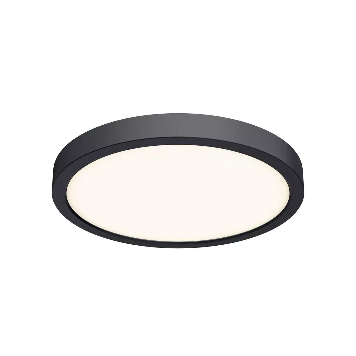 DALS Lighting Black 10 Inch Round Indoor/Outdoor LED Flush Mount, Model CFLEDR10-CC-BK*