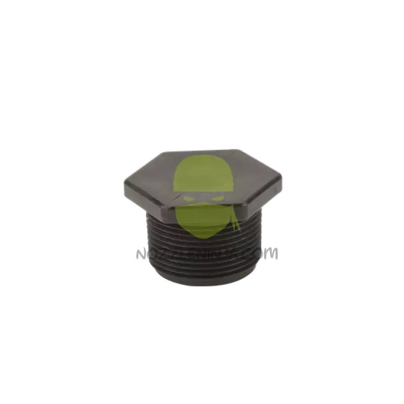 PLUG125 Plug Threaded, 1.25 Inch